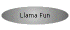Llama Fun